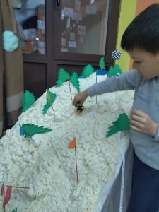 AKTIVNOSTI U SIJEČNJU 5 | GRDELIN BUZET Centar zime Pcelice | GRDELIN BUZET